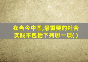 在当今中国,最重要的社会实践不包括下列哪一项( )